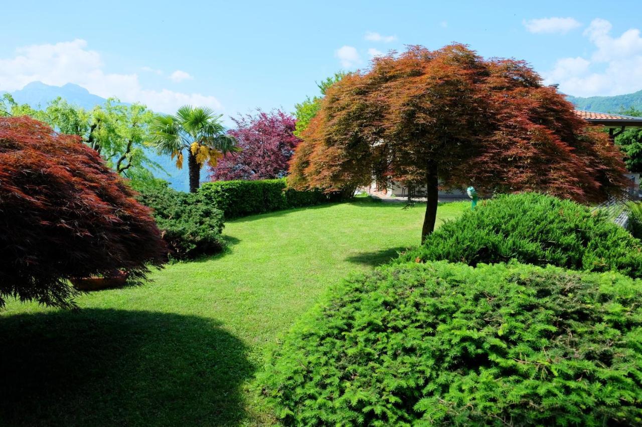 Villa Ornella Mandello del Lario Bagian luar foto